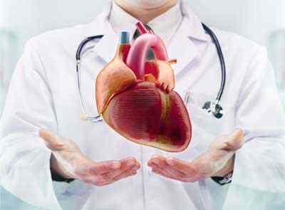 cardiology